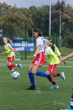 Bild 47 - C-Juniorinnen HSV - Walddoerfer : Ergebnis: 9:1